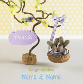 Feltipips Twin Bunnies New Baby Twins Card