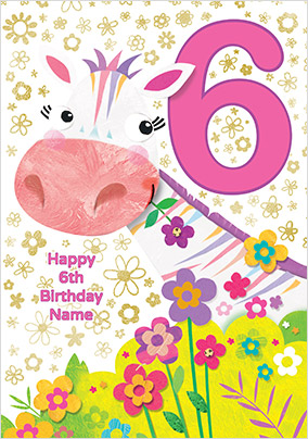 Zebra 6 Today Birthday Card