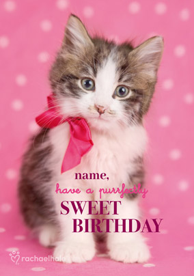 Kitten personalised Birthday Card Purrfectly Sweet