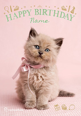 Cute Kitten with Pink Bow Birthday Card