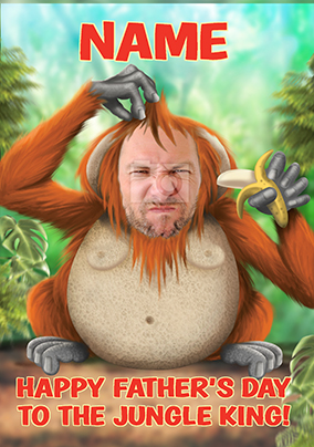 HIP - For the King of the Jungle