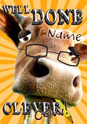 Silly Cow - Well Done