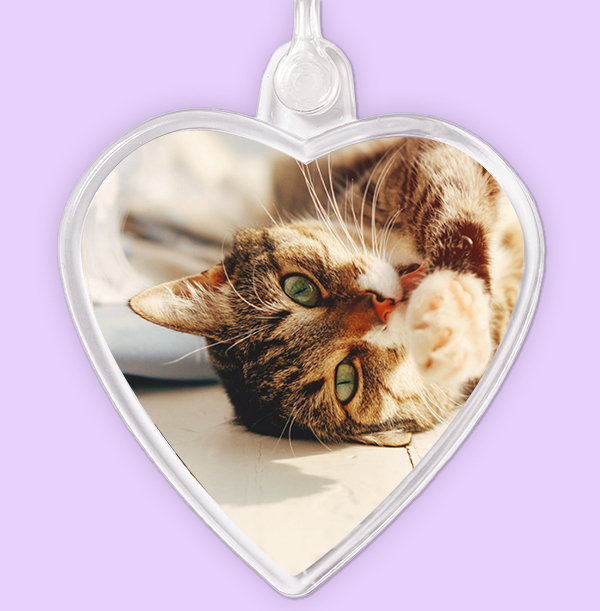 Full Photo Cat Heart Keyring