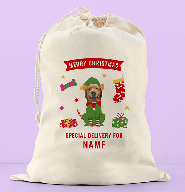 Merry Christmas Dog Photo Sack