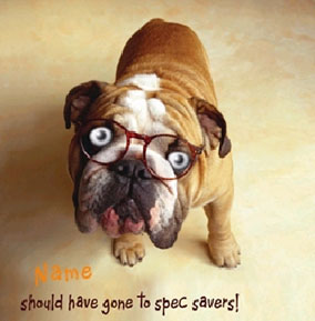 Big Eyed Animals - Specs