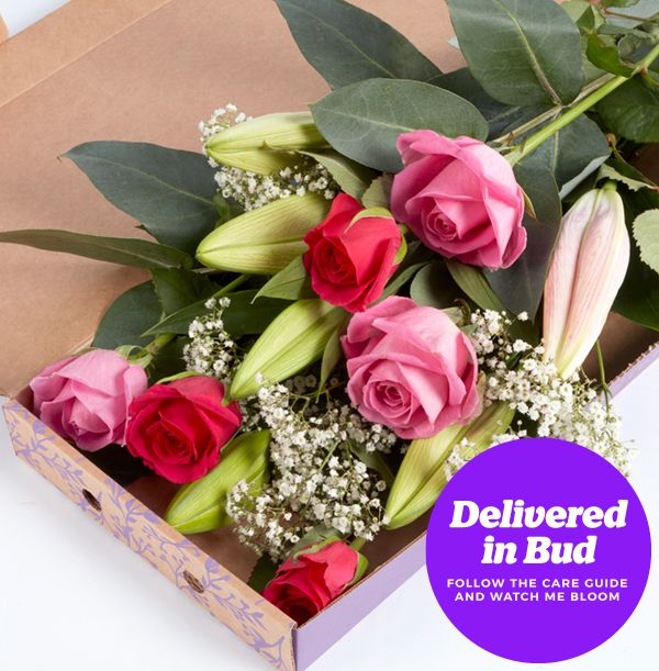 product image gallery_5