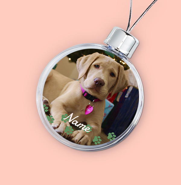 Pet Paws Photo Upload Christmas Bauble
