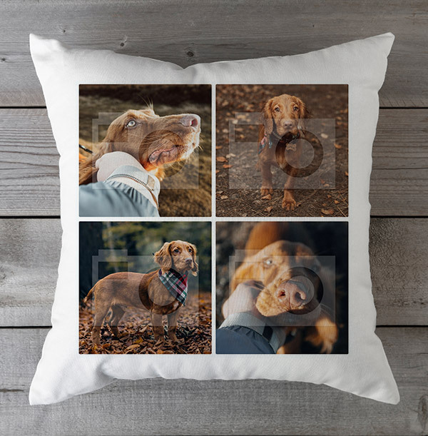 Dog Four Photo Upload Cushion