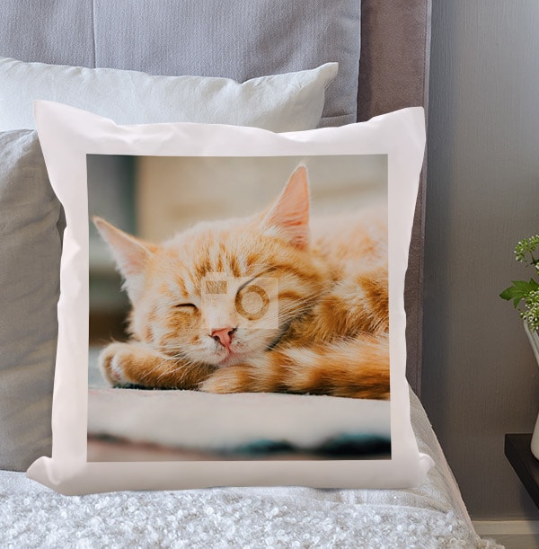 Cat Full Photo Cushion