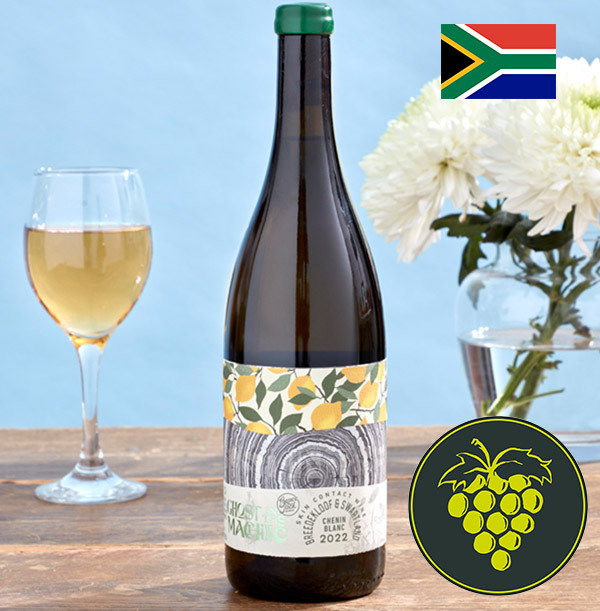 Ghost in the Machine Chenin Blanc