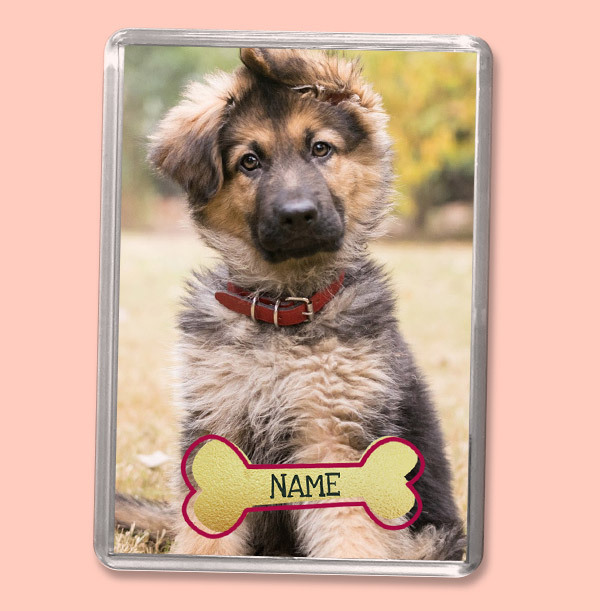 Pet Dog Photo Magnet - Portrait