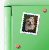 Tap to view Wavy Border Retro Photo Magnet