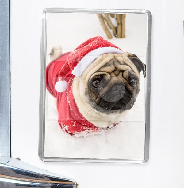 product image gallery_0