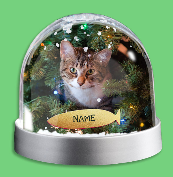 Cat Photo Upload Snow Globe