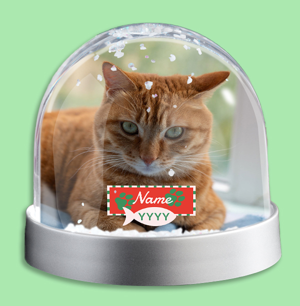 Cat Paws Photo Upload Snow Globe