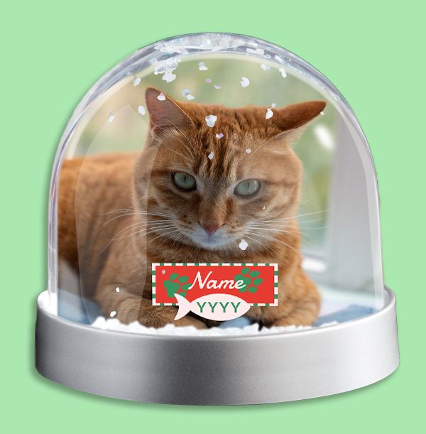 Photo of Cat Paws Photo Upload Snow Globe