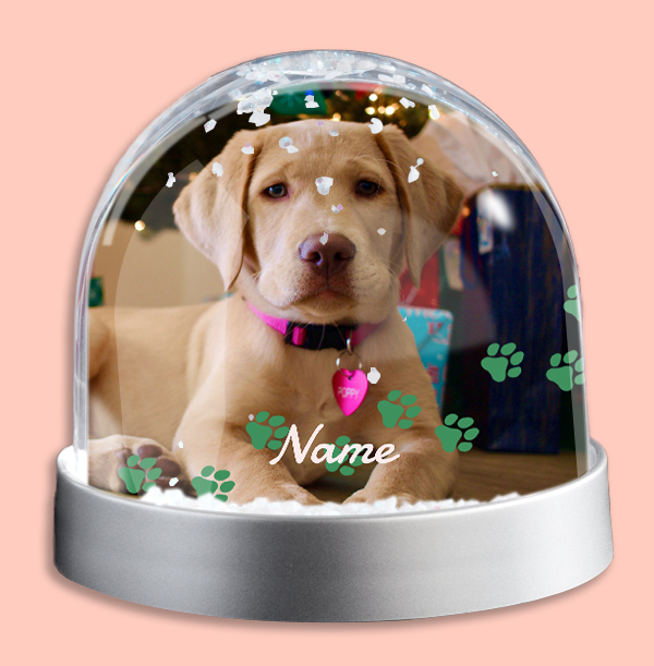Pet Paws Photo Upload Snow Globe