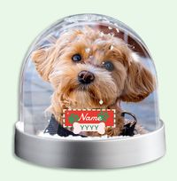 Tap to view Dog Paws Photo Upload Snow Globe