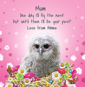I'll be your Pest until I fly the Nest Card