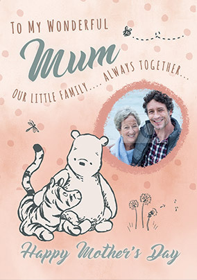 Wonderful Mum Winnie the Pooh Photo Mother's Day Card