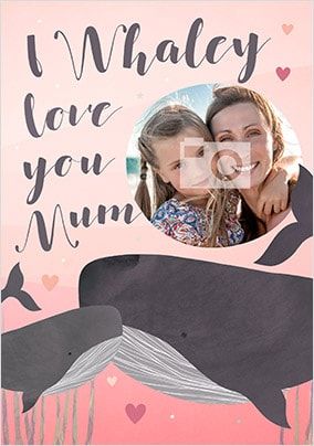 product image front