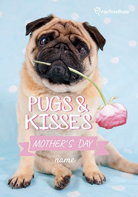 ZDISC 02/03 PETA FLAT FACE DOGS ISSUE - Pug with Rose Personalised Mother's Day Card
