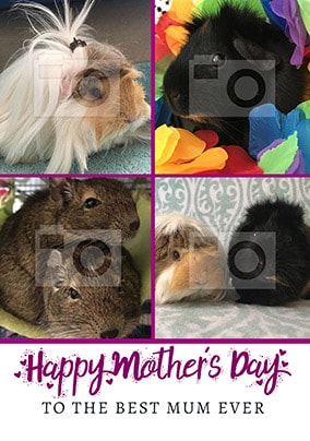 Best Mum Ever Multi Photo Card