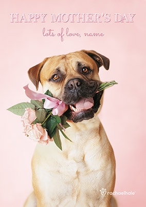 Happy Mother's Day Bullmastiff Personalised Card