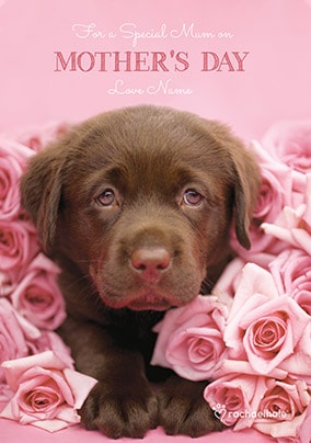 Mother's Day Labrador Puppy Personalised Card