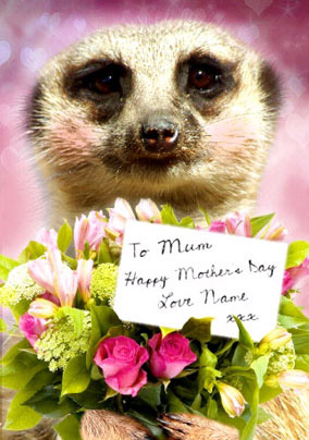 Meerkat - Mother's Day Flowers