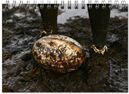 product image gallery_0
