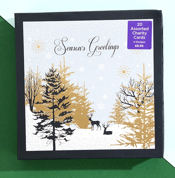 Premium Boxed Winter Scene Christmas Card Set - Pack of 20