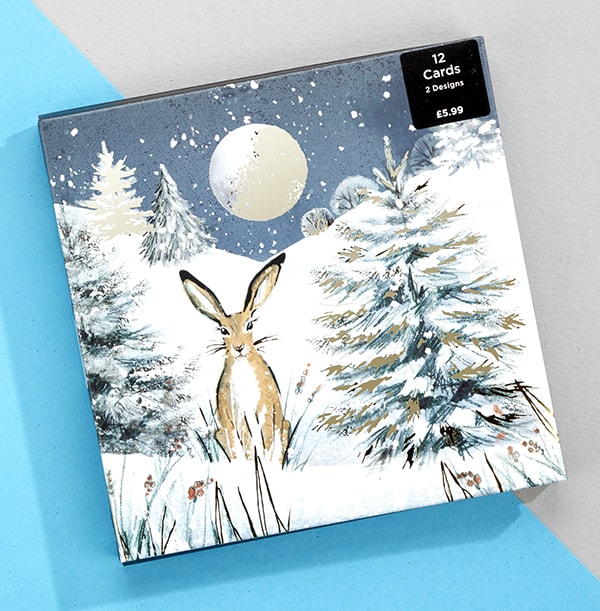 Hare In woodland Christmas Cards - Pack Of 12