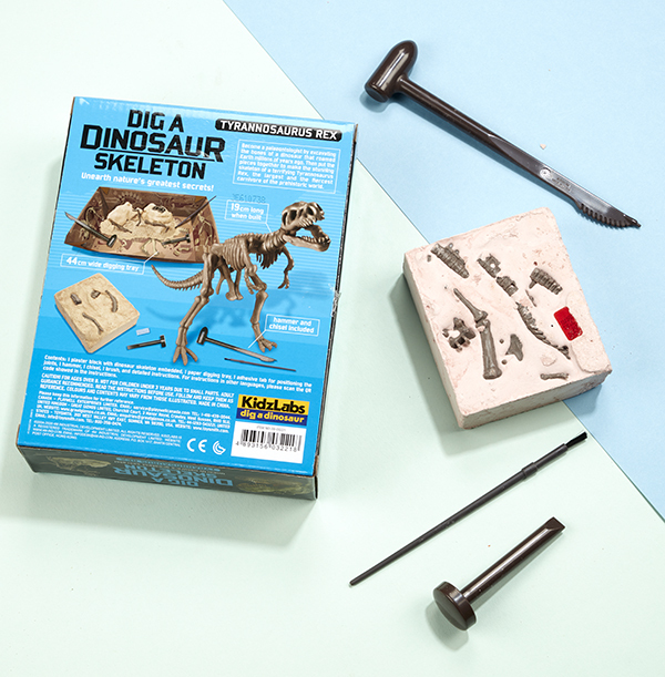 Tyrannosaurus Rex Skeleton Excavation Kit