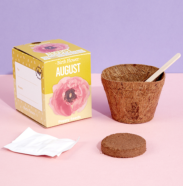 NOW HALF PRICE August Grow Your Own Birth Flower Kit - Poppy