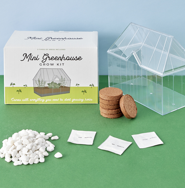 Mini Greenhouse