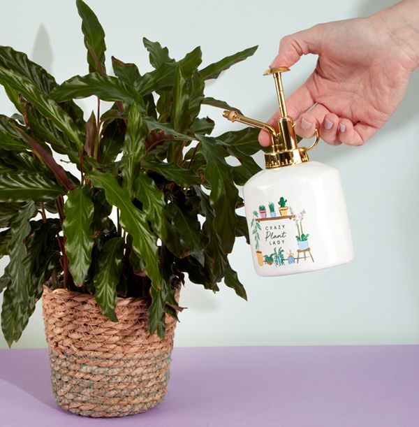product image gallery_1