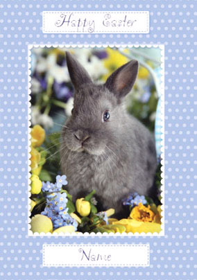 Abacus - Easter Bunny