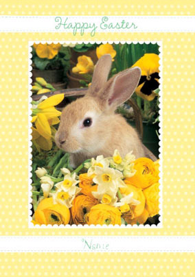 Abacus - Easter Rabbit