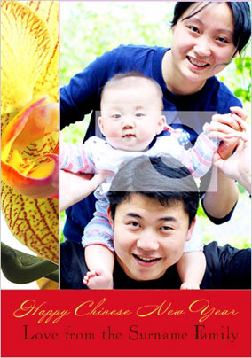 Full Bloom - Chinese New Year