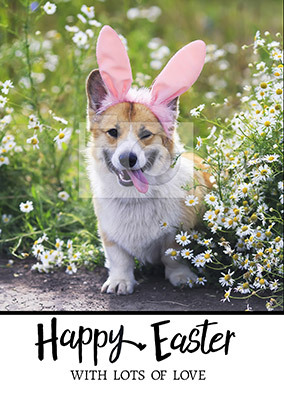 Essentials - Happy Easter Full Photo Upload