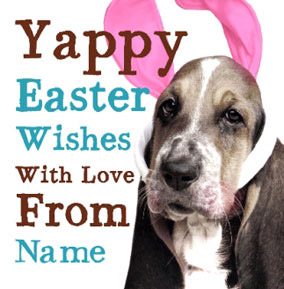 Dog Tired - Yappy Easter