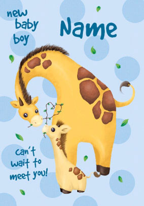 Baby Giraffe - Baby Boy