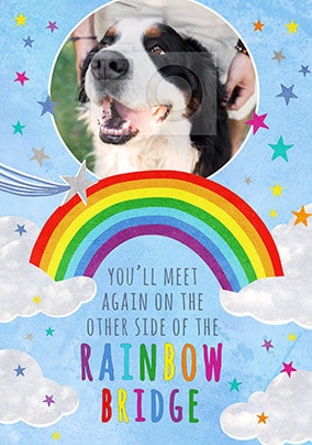 Meet Again Pet Sympathy Photo Card