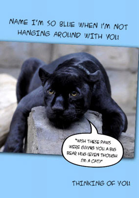 Animal Talk - Thinking