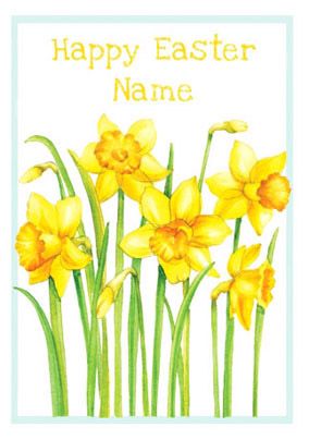 product image front