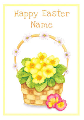 AV - Easter Primrose