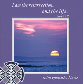 Willow - Sympathy Bible Purple