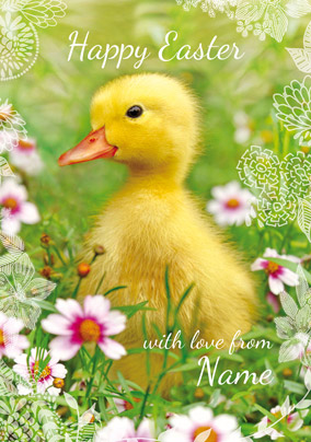 Framed - Easter Card Happy Easter Duckling