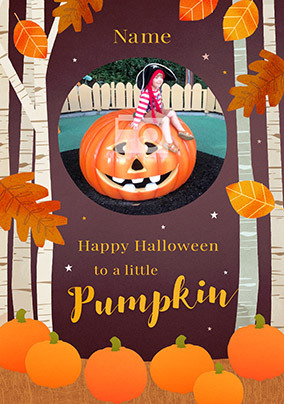 Little Pumpkin Halloween Photo Card